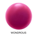 520A　WONDROUS