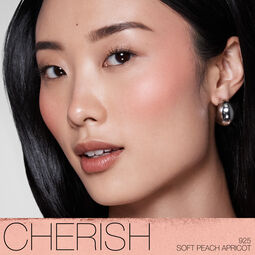 ブラッシュ　Ｎ／ＴＨＥ　ＡＭＯＵＲ　ＣＯＬＬＥＣＴＩＯＮ