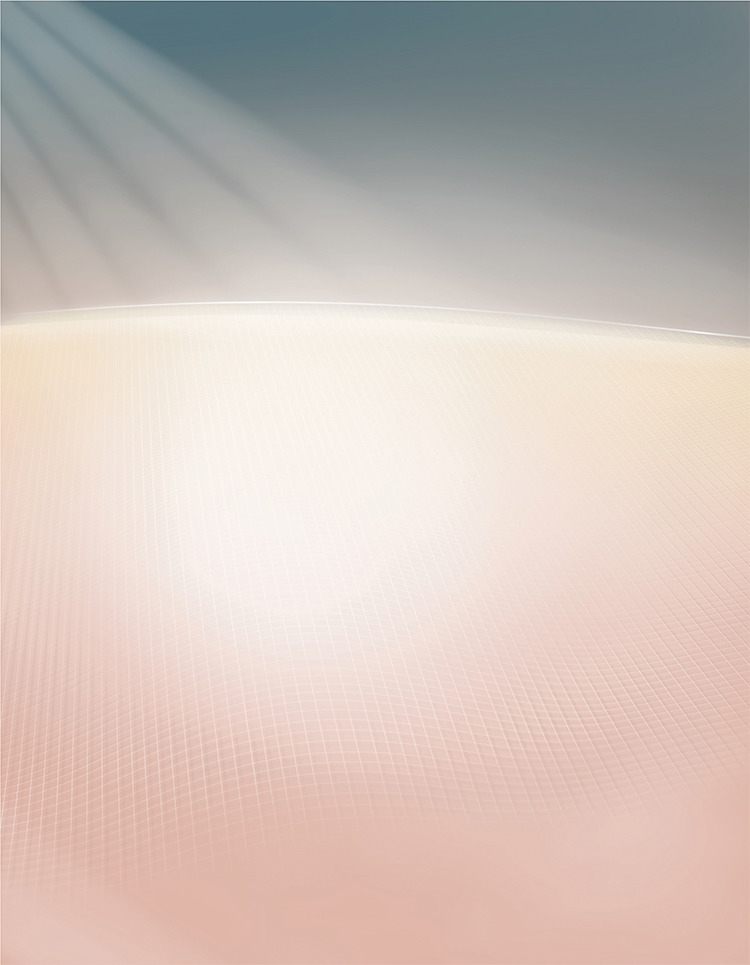 Cushion Foundation Cushion Foundation